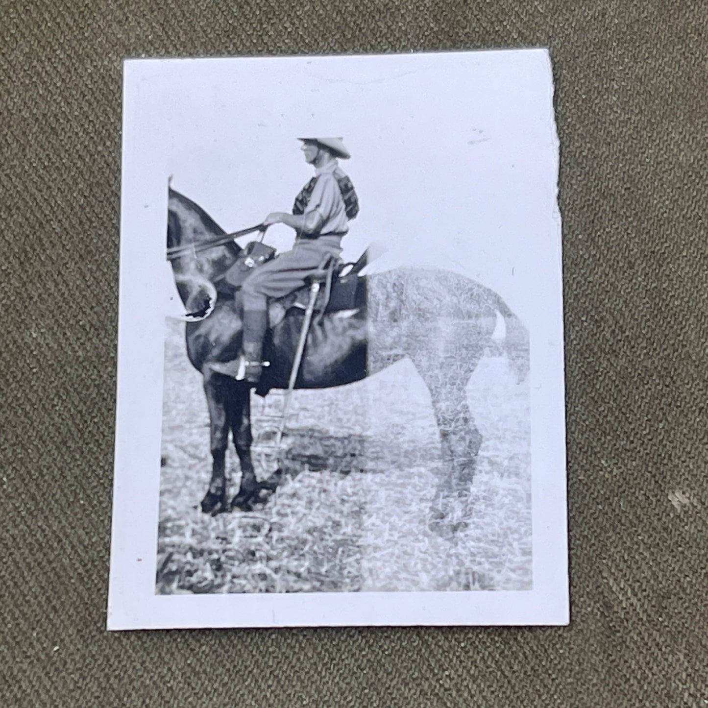 Original Photograph British Soldier on Horse RFA