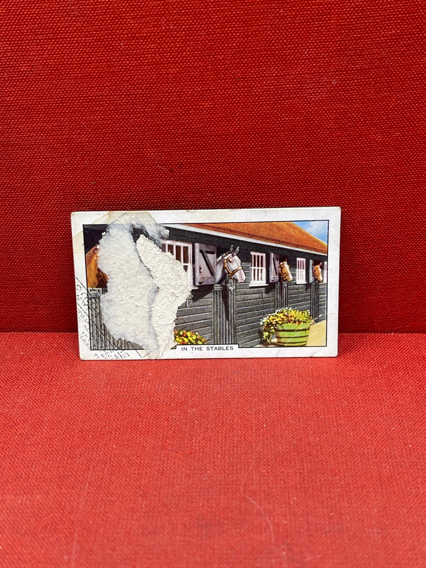 Gallaher Ltd Racing Scenes Series 48 Cigarette Cards 1938