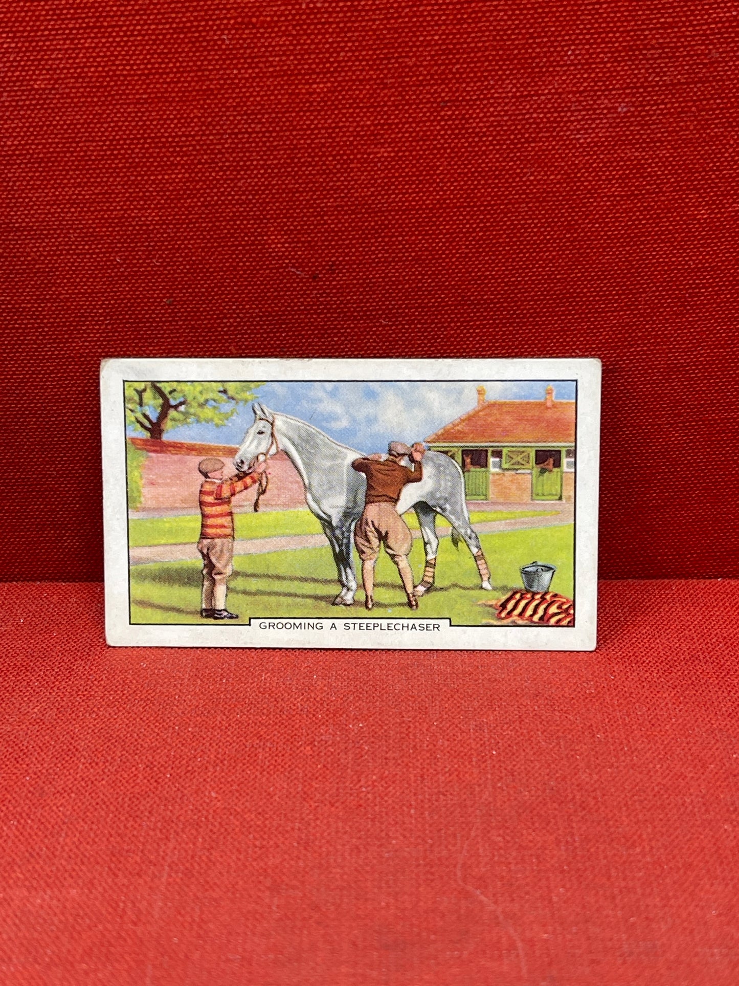 Gallaher Ltd Racing Scenes Series 48 Cigarette Cards 1938