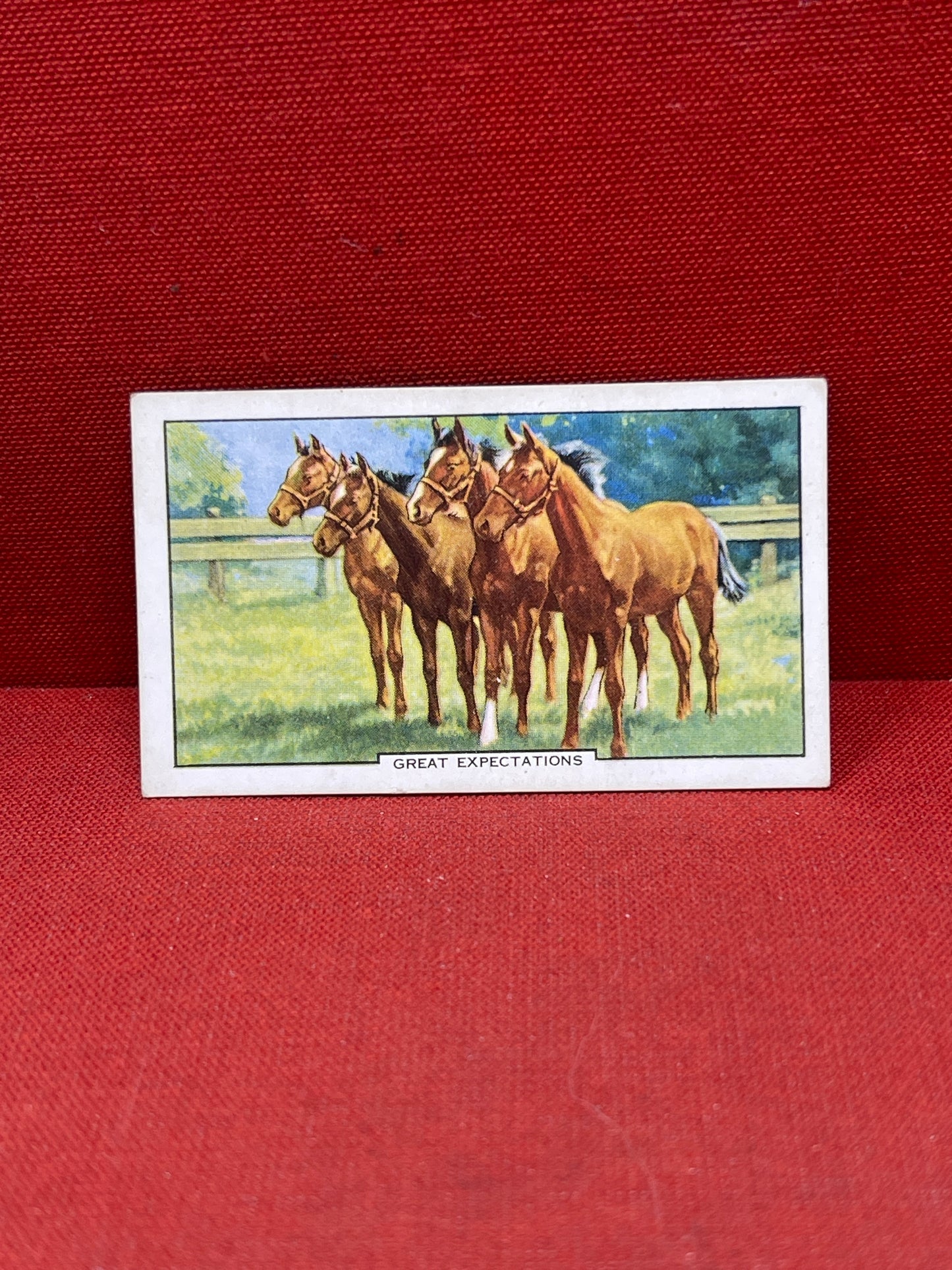 Gallaher Ltd Racing Scenes Series 48 Cigarette Cards 1938