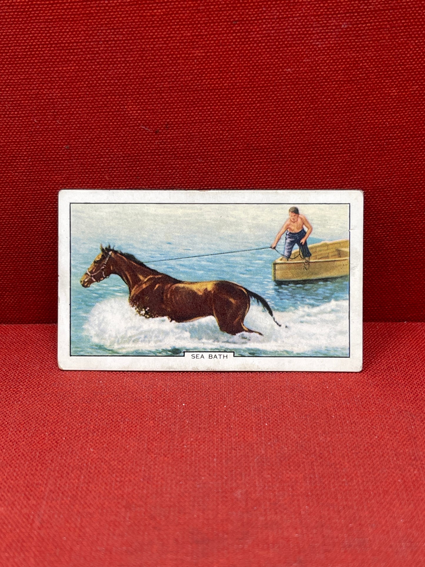 Gallaher Ltd Racing Scenes Series 48 Cigarette Cards 1938