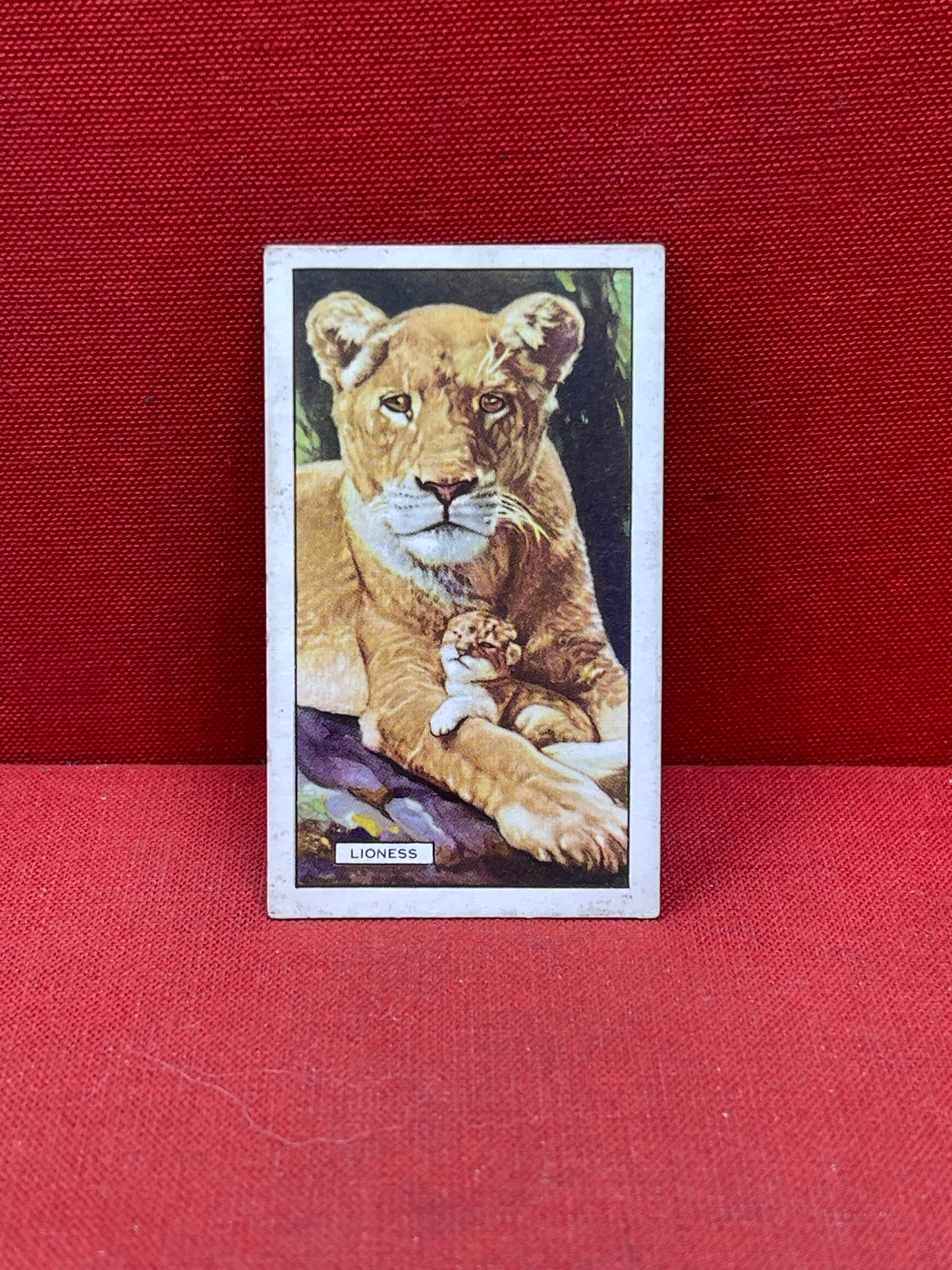Gallaher `Ltd Cigarette Cards Wild Animals