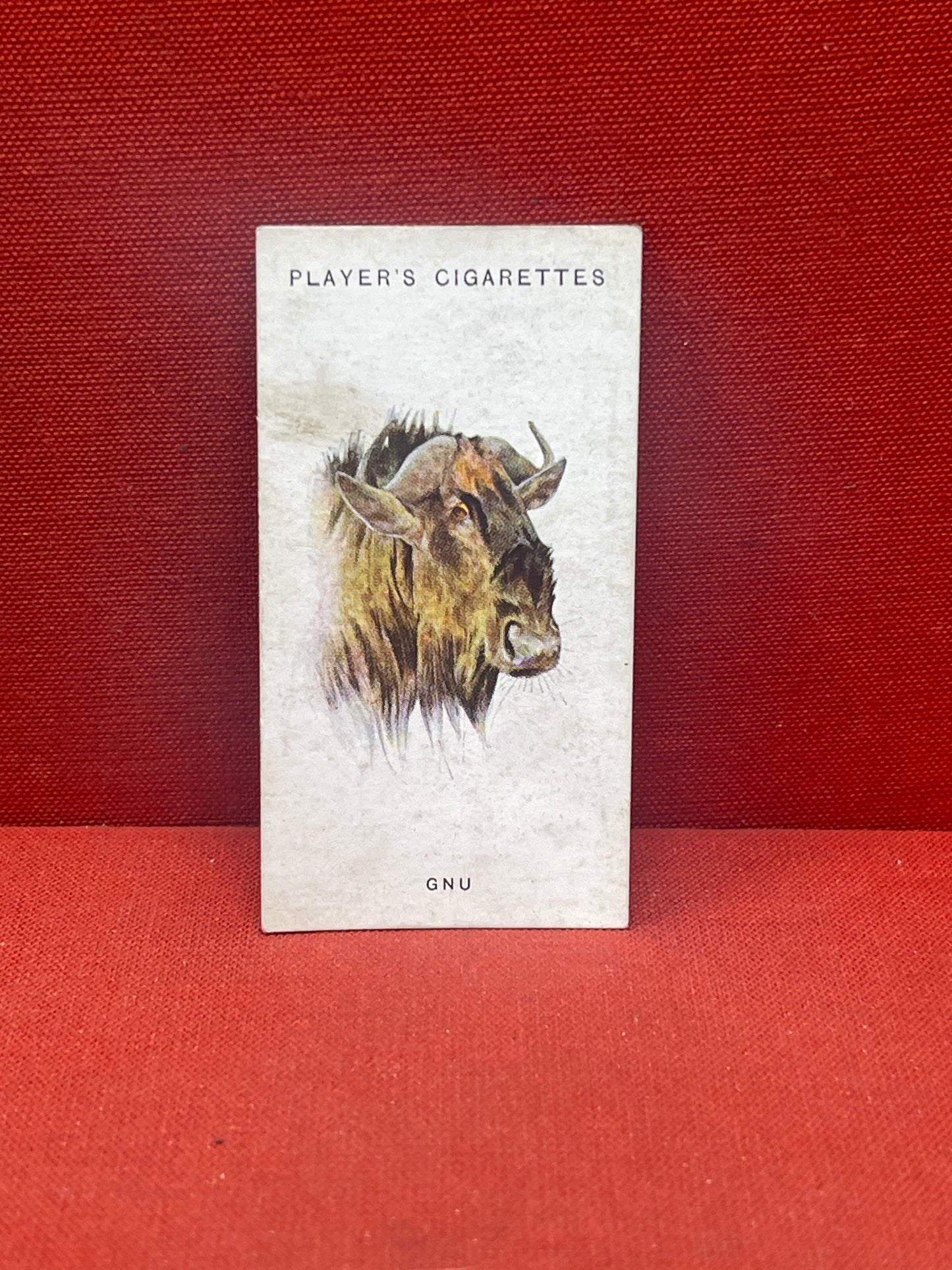John Player & Sons Wild Animal Heads Cigarette Cards 1931