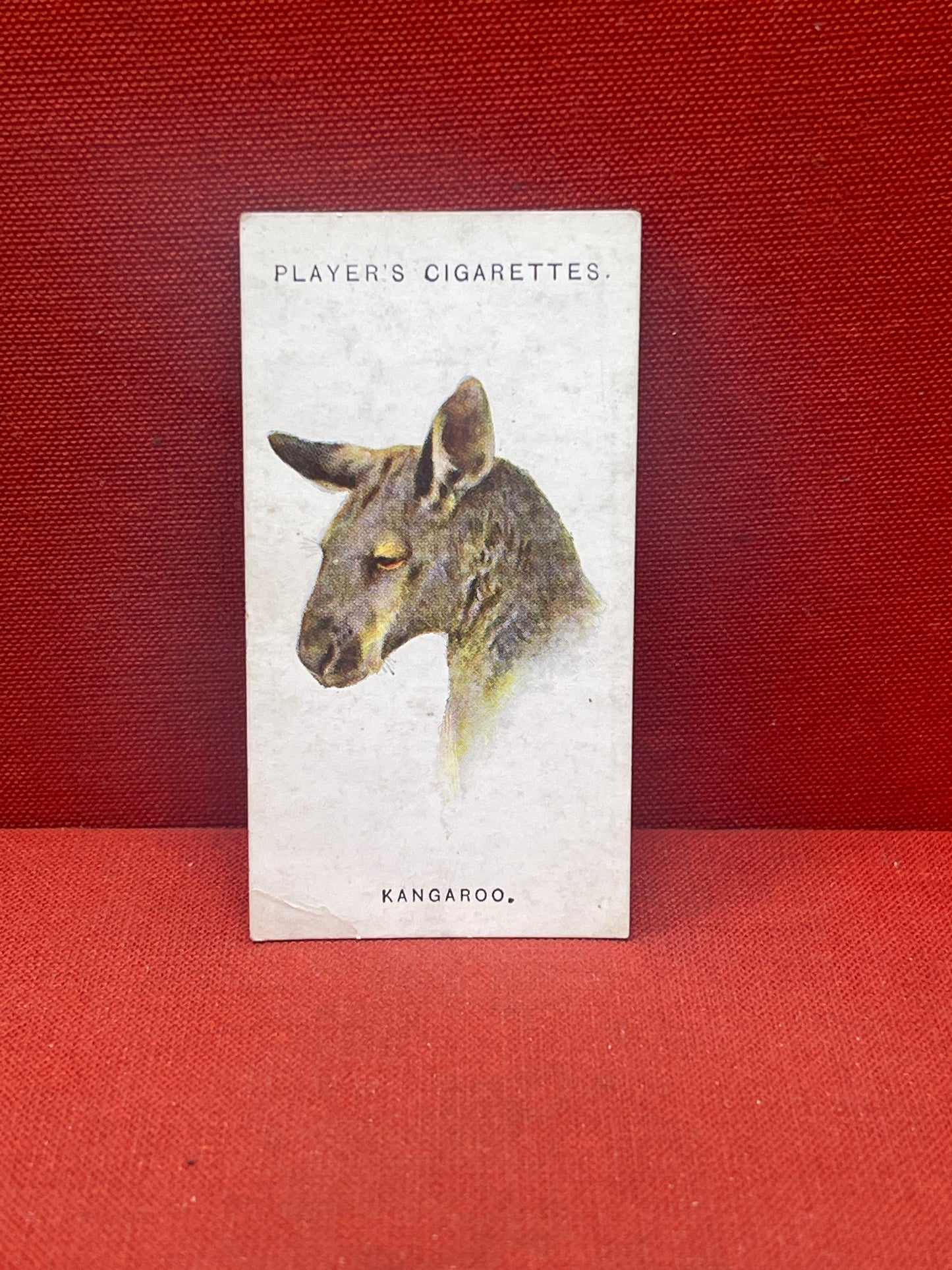 John Player & Sons Wild Animal Heads Cigarette Cards 1931
