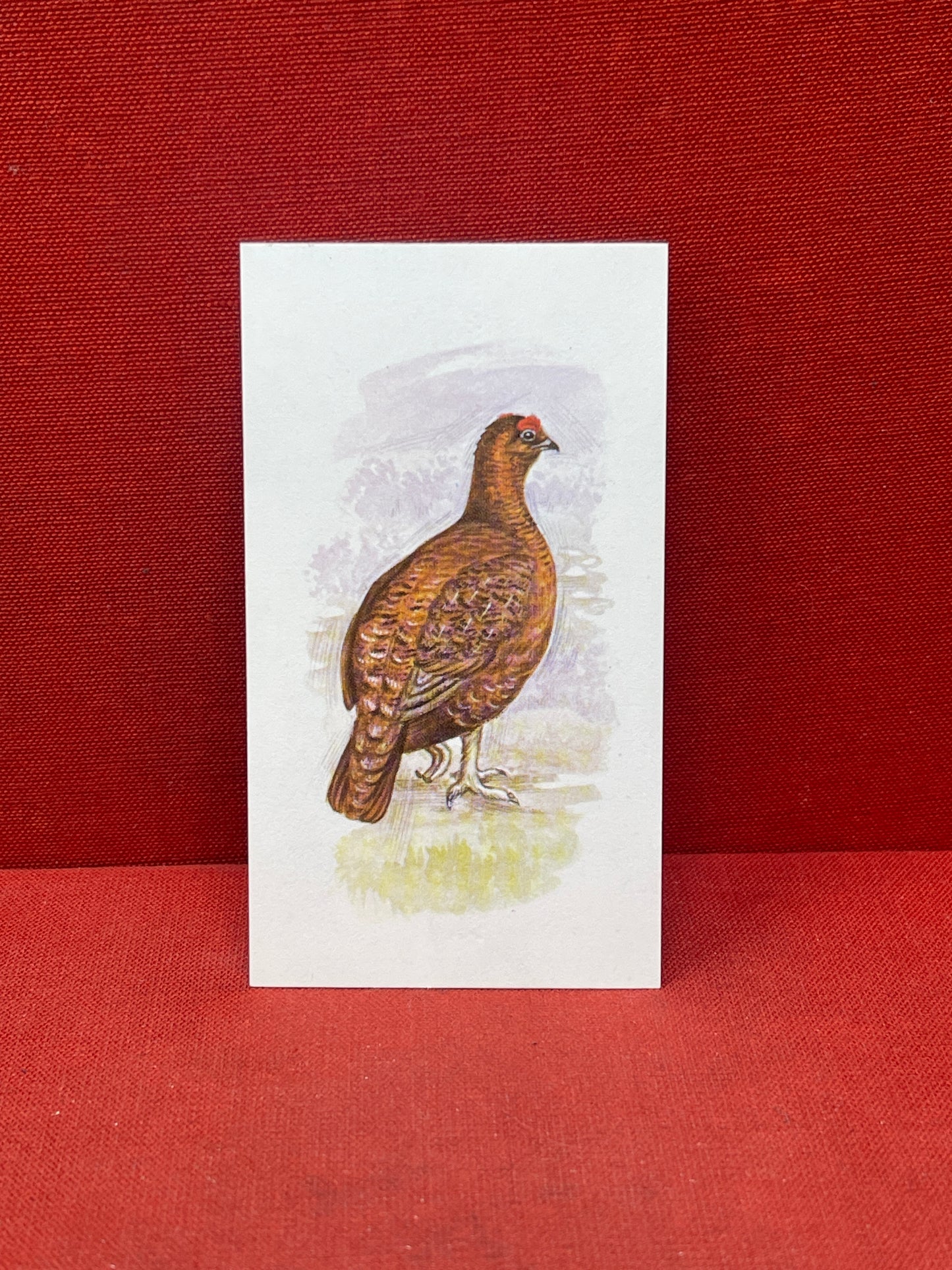 Grandee Cigar British Birds Collection 1980's