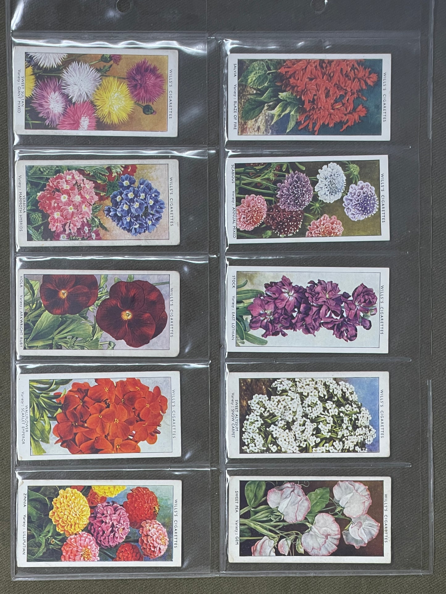 WD & HO Wills Garden Flowers Cigarette Cards