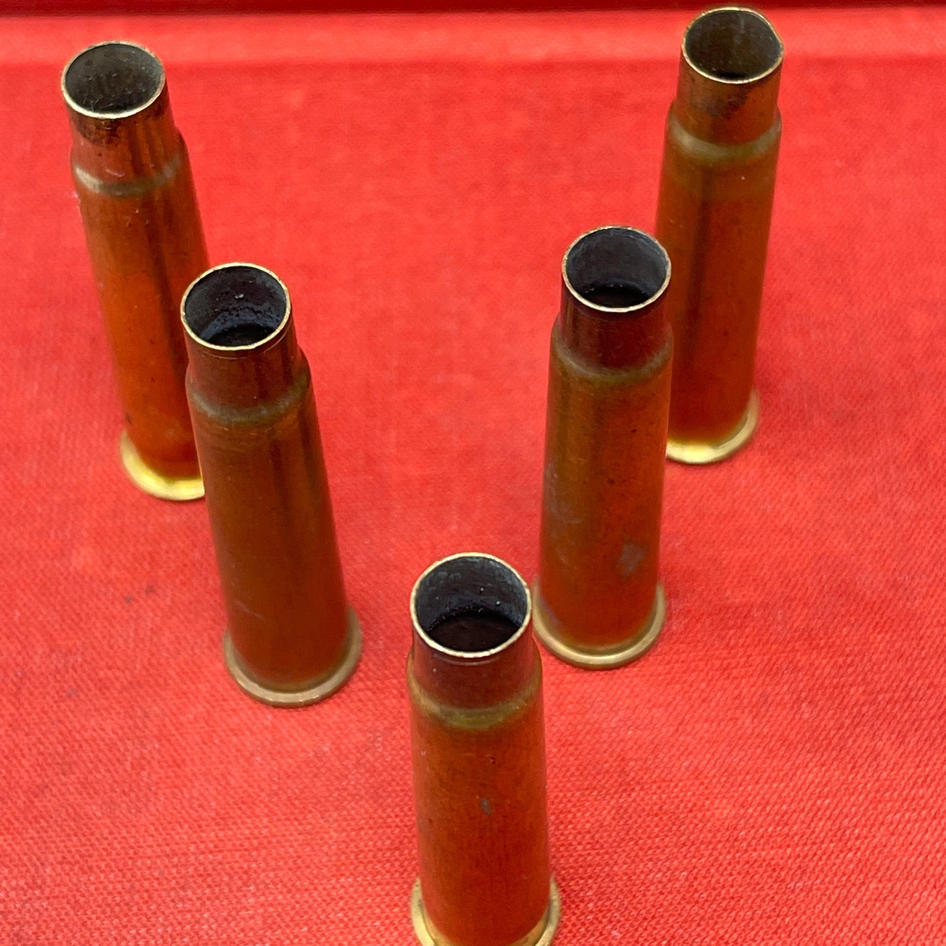 303 Empty Brass Cartridge Case