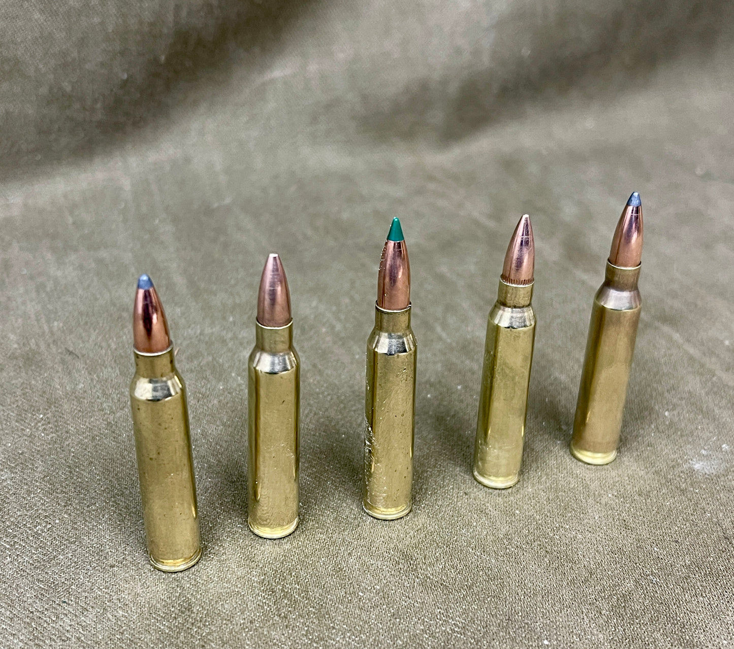 Selection of 5× Inert .223 / 5.56 NATO Rounds – Hunting & Military Mix