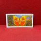 Brooke Bond Tea Butterflies of the World Trading Cards 1964