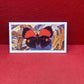 Brooke Bond Tea Butterflies of the World Trading Cards 1964