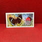 Brooke Bond Tea Butterflies of the World Trading Cards 1964