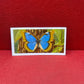 Brooke Bond Tea Butterflies of the World Trading Cards 1964