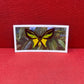 Brooke Bond Tea Butterflies of the World Trading Cards 1964