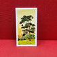 Brooke Bond Tea Collectors Cards Trees In Britain