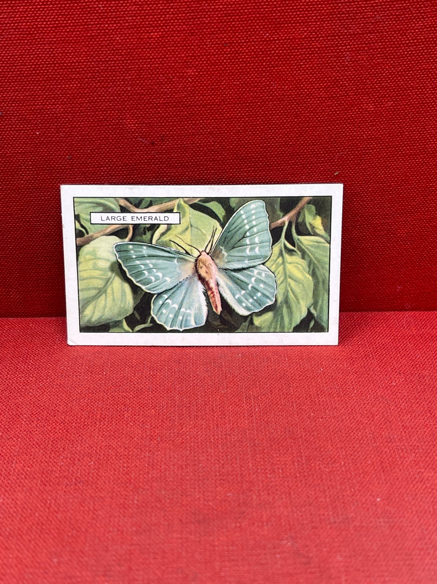 Gallaher Ltd Butterflies and Moths Cigarette Cards 1938