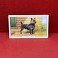 Gallaher Ltd Dogs 2nd Series Cigarette Cards 1938