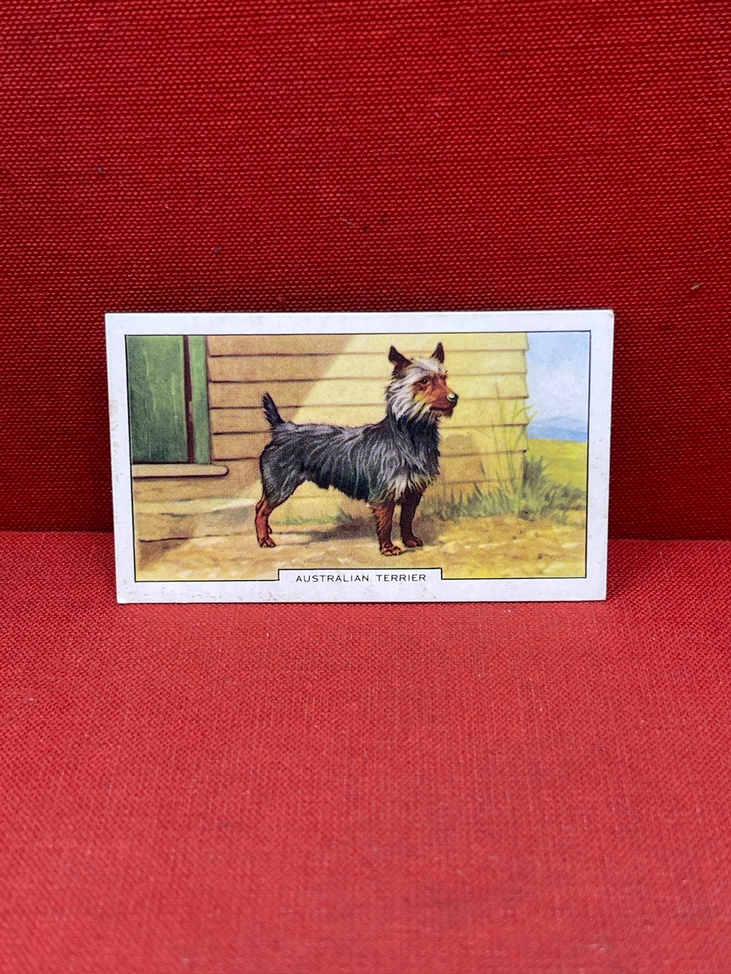 Gallaher Ltd Dogs 2nd Series Cigarette Cards 1938