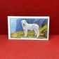 Gallaher Ltd Dogs 2nd Series Cigarette Cards 1938