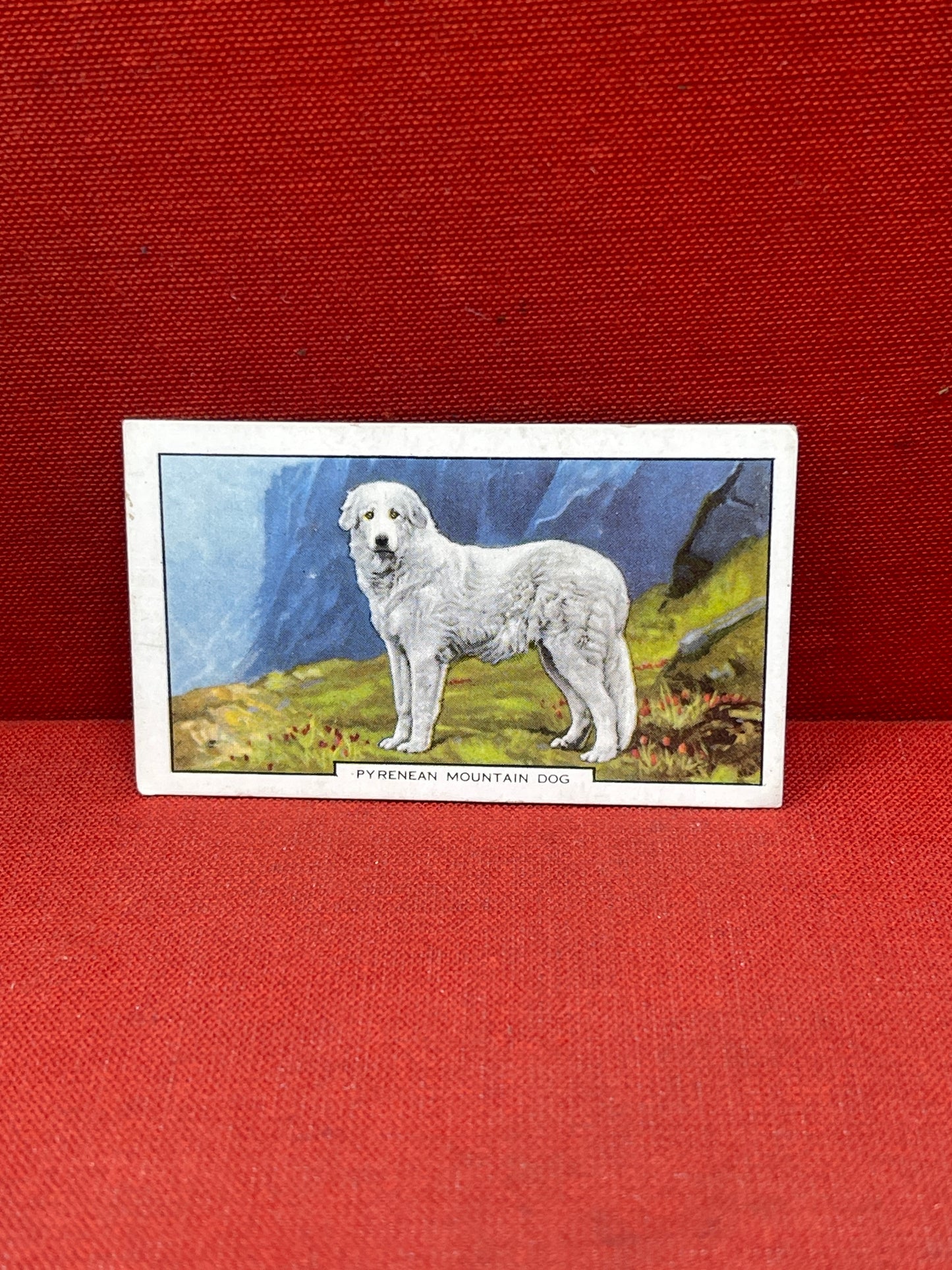 Gallaher Ltd Dogs 2nd Series Cigarette Cards 1938