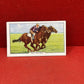 Gallaher Ltd Racing Scenes Series 48  Cigarette Cards 1938