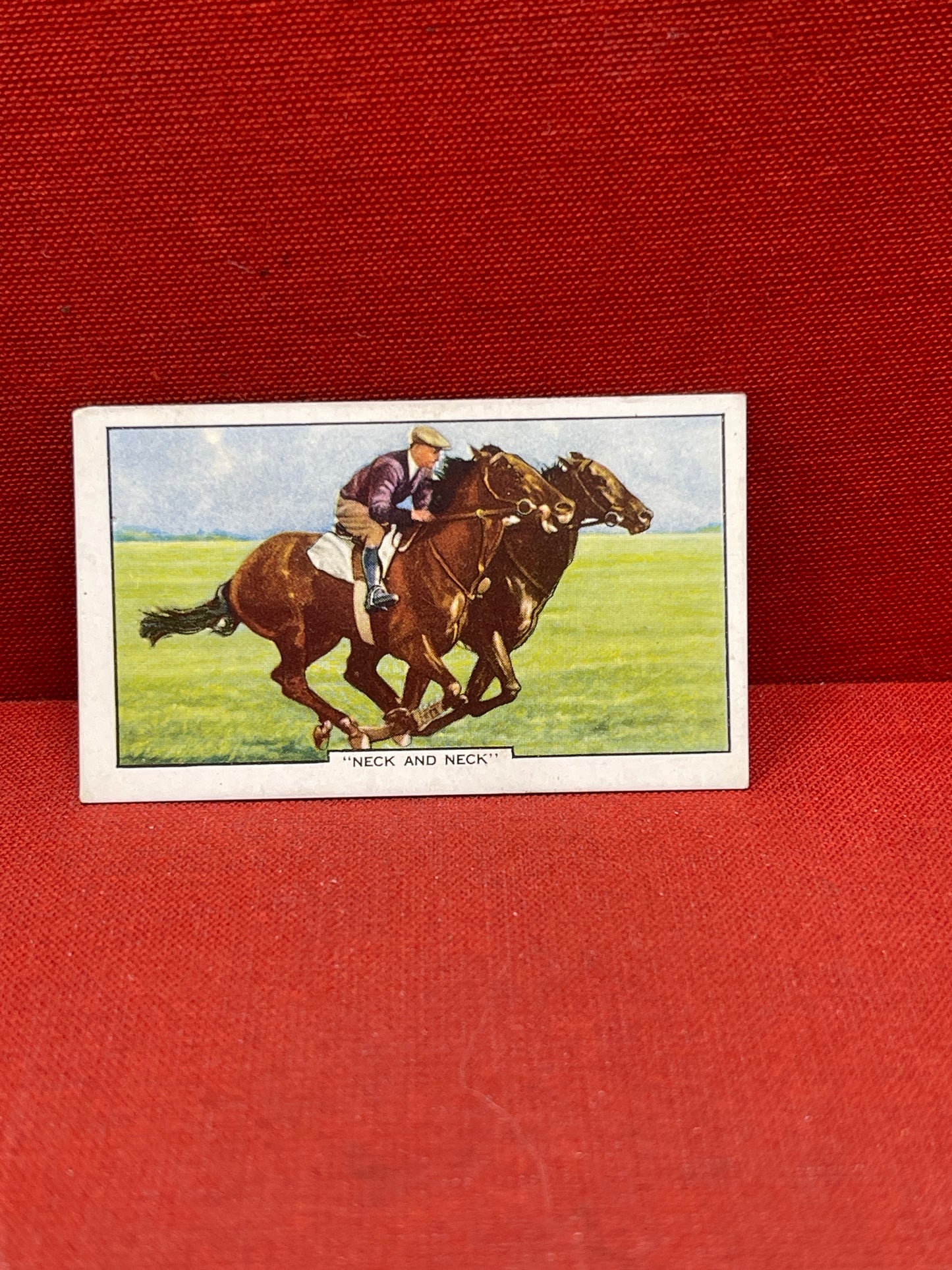 Gallaher Ltd Racing Scenes Series 48  Cigarette Cards 1938