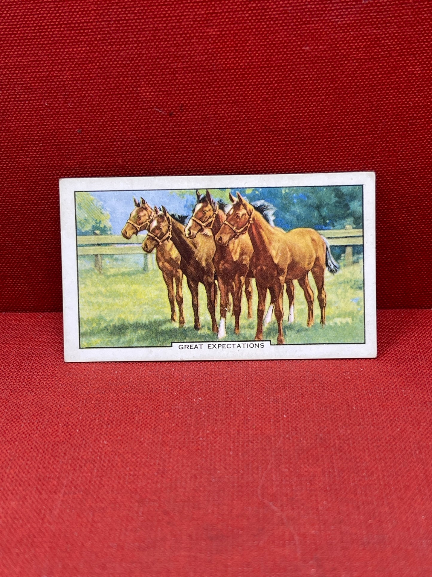 Gallaher Ltd Racing Scenes Series 48  Cigarette Cards 1938