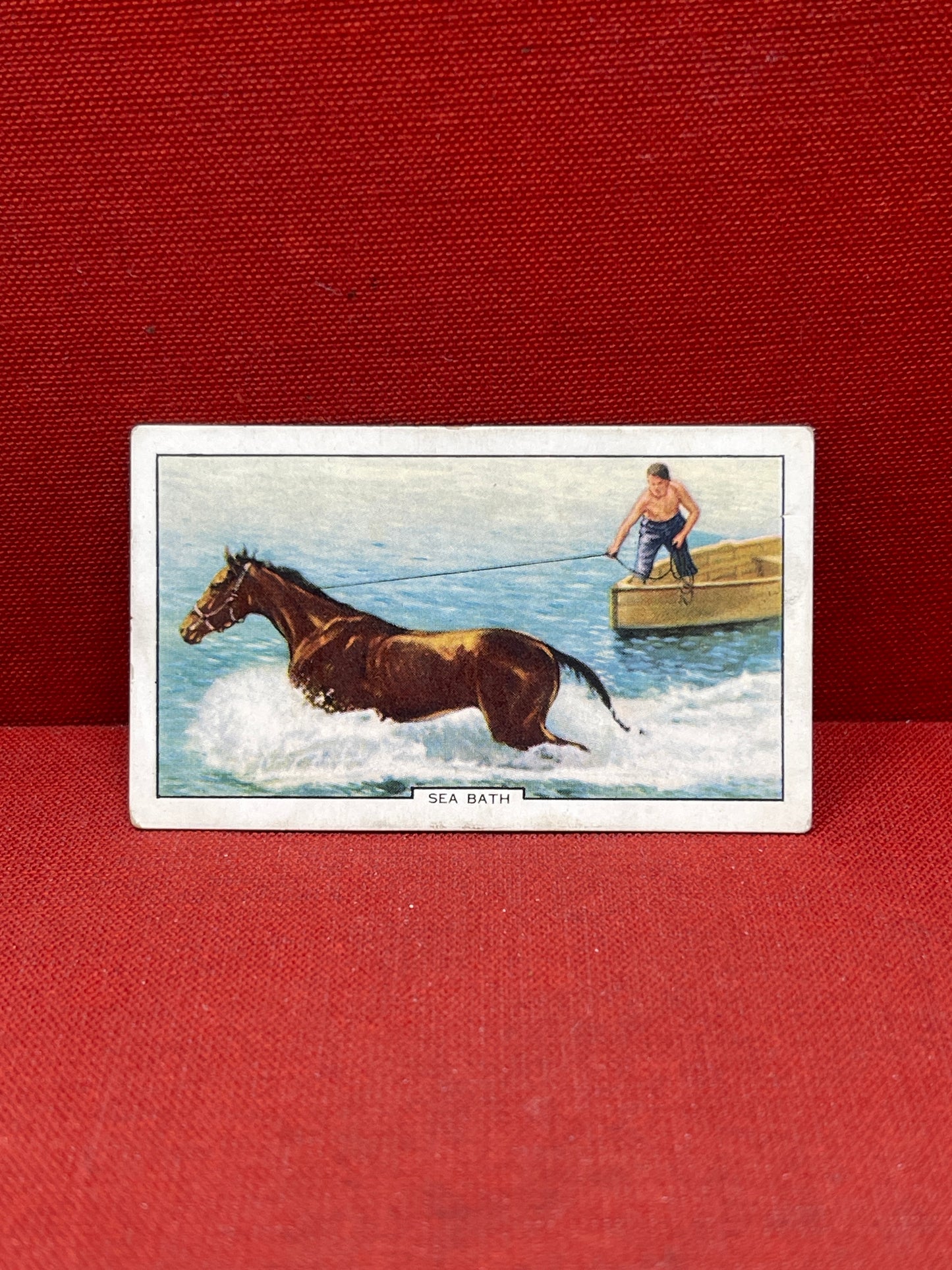 Gallaher Ltd Racing Scenes Series 48  Cigarette Cards 1938