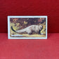 Gallaher `Ltd Cigarette Cards Wild Animals