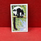 Gallaher `Ltd Cigarette Cards Wild Animals 1937