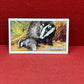 Gallaher `Ltd Cigarette Cards Wild Animals 1937