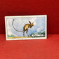 Gallaher `Ltd Cigarette Cards Wild Animals 1937