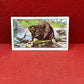 Gallaher `Ltd Cigarette Cards Wild Animals