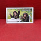 Gallaher `Ltd Cigarette Cards Wild Animals