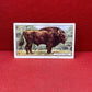 Gallaher `Ltd Cigarette Cards Wild Animals