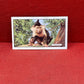 Gallaher `Ltd Cigarette Cards Wild Animals 1937