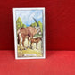 Gallaher `Ltd Cigarette Cards Wild Animals 1937