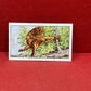 Gallaher `Ltd Cigarette Cards Wild Animals 1937