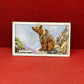 Gallaher `Ltd Cigarette Cards Wild Animals 1937