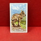 Gallaher `Ltd Cigarette Cards Wild Animals 1937