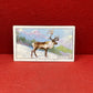 Gallaher `Ltd Cigarette Cards Wild Animals