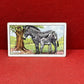 Gallaher `Ltd Cigarette Cards Wild Animals