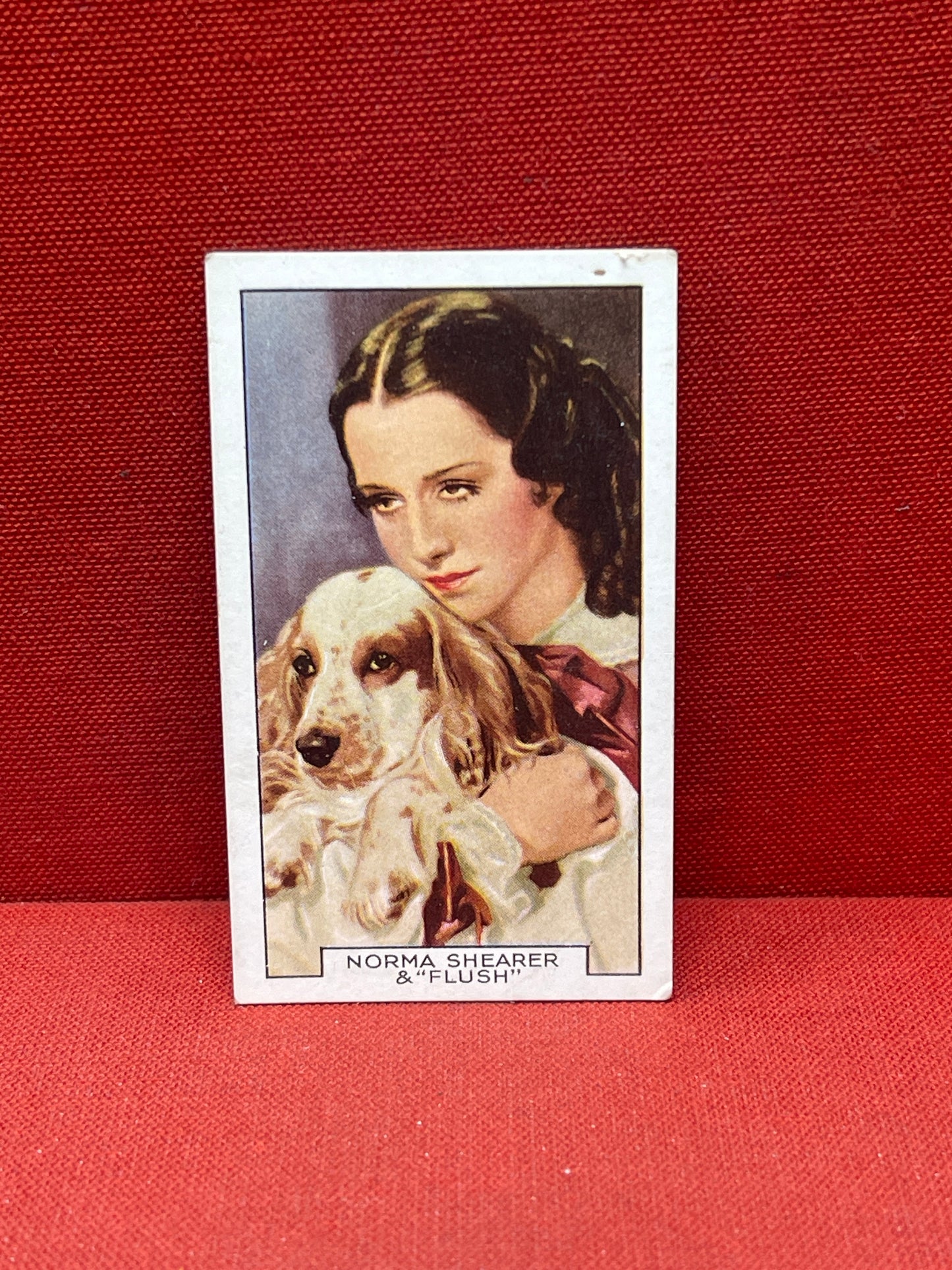 Gallaher Ltd Film Partners Cigarette Cards,