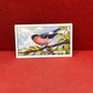 Gallaher Ltd British Birds Cigarette Cards 1937