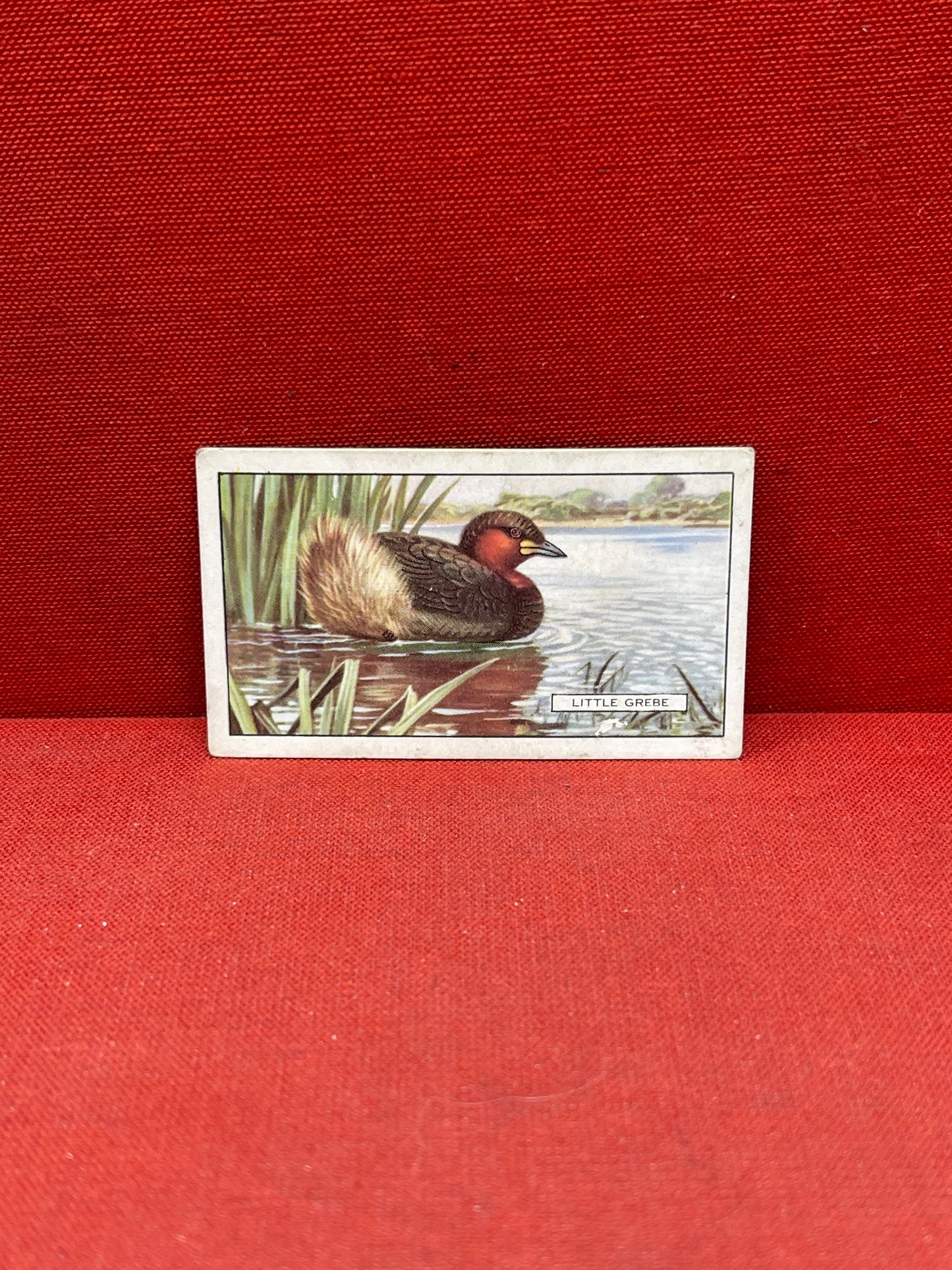 Gallaher Ltd British Birds Cigarette Cards 1937