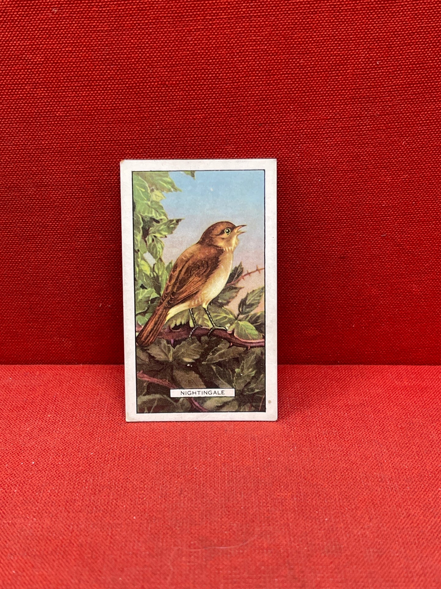 Gallaher Ltd British Birds Cigarette Cards 1937