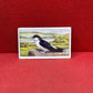 Gallaher Ltd British Birds Cigarette Cards 1937