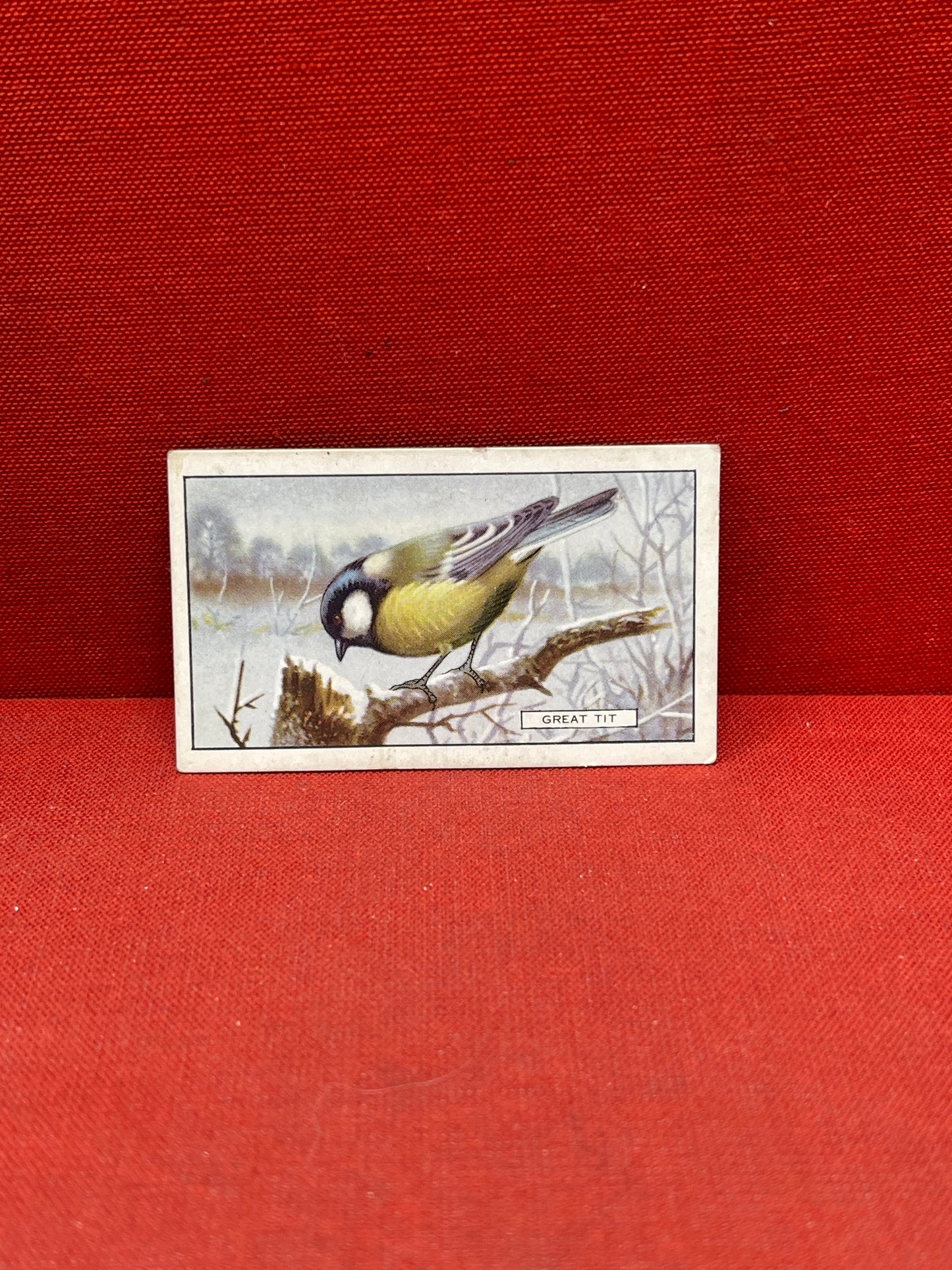 Gallaher Ltd British Birds Cigarette Cards 1937