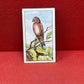 Gallaher Ltd British Birds Cigarette Cards 1937