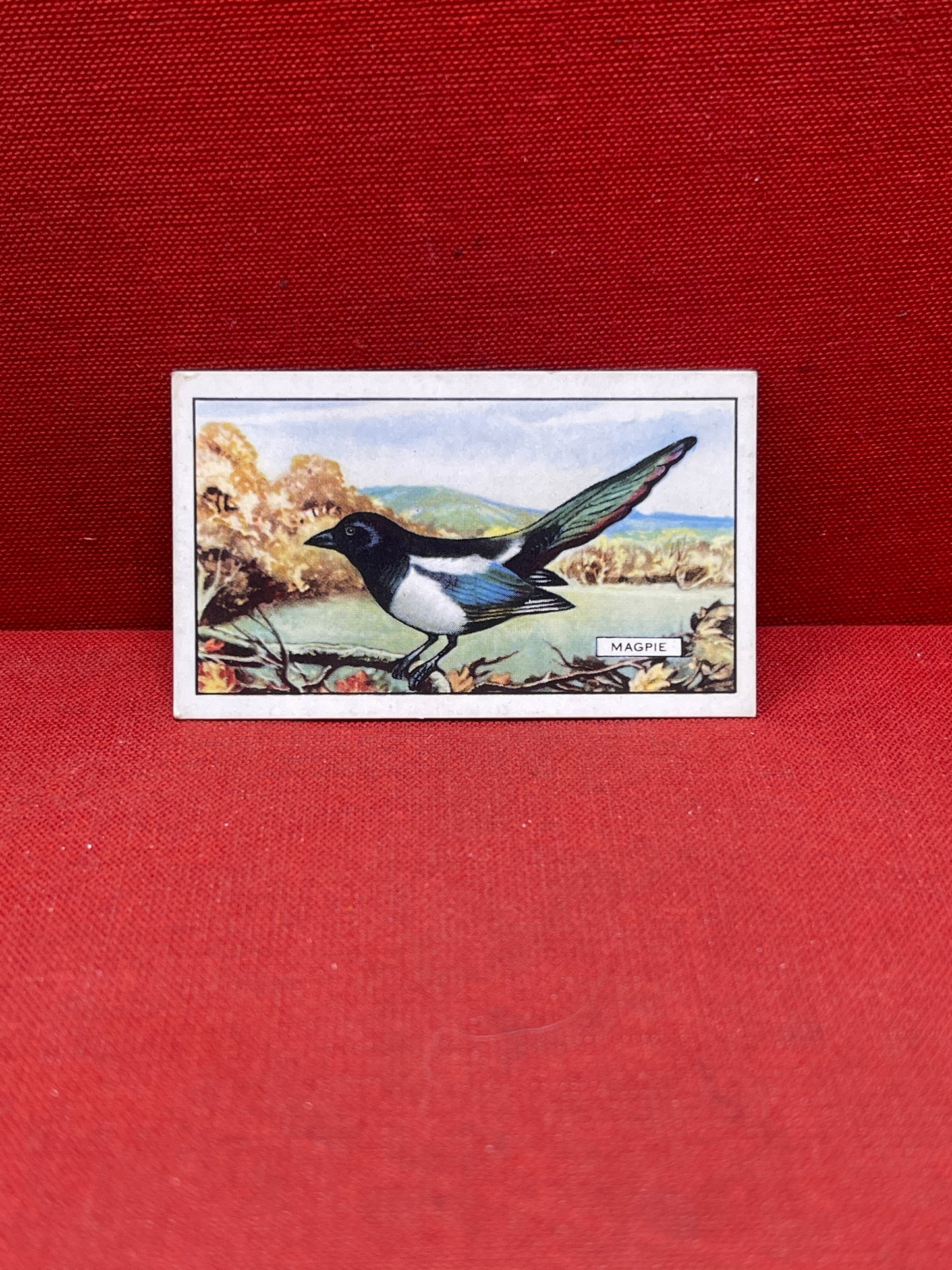 Gallaher Ltd British Birds Cigarette Cards 1937