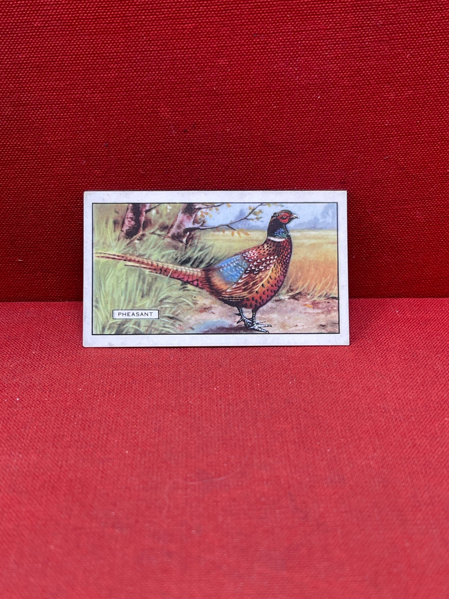 Gallaher Ltd British Birds Cigarette Cards 1937